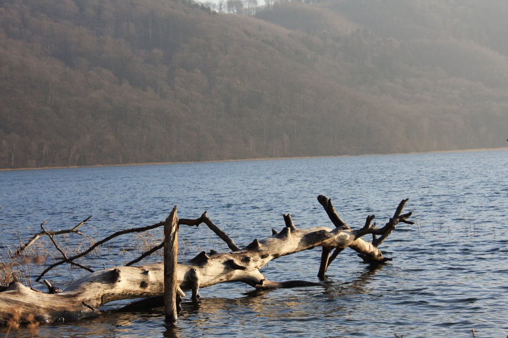 Winter am Laacher See_2 by Clemens Gilles