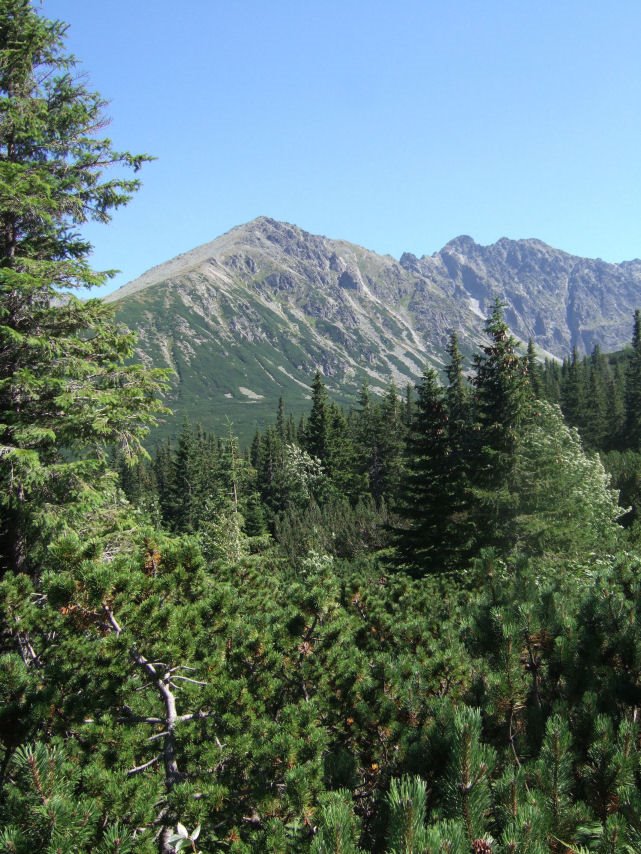 Zakopane, Poland by BożenaFr