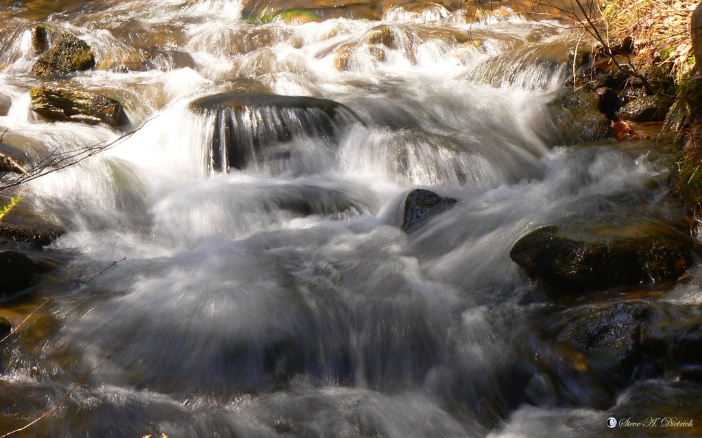 Hyner Run Creek by Steve Dietrich