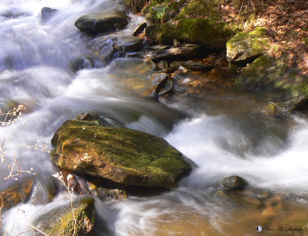 Hyner Run Creek by Steve Dietrich