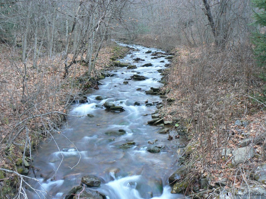 Slate Run Rd, Cammal, PA by photospy