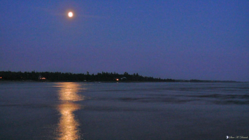 Singing Beech Moon Reflection - Night, Full Moon, Coastline, Cabins - St. Edmunds, CA by Steve Dietrich