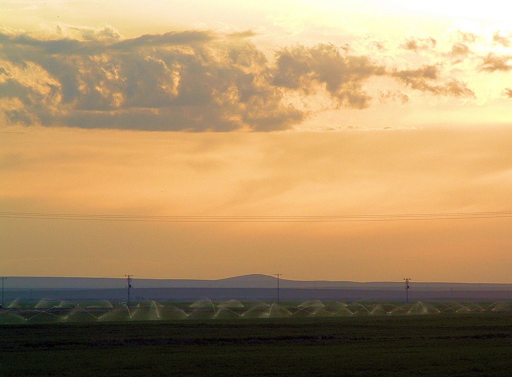 Sunset over fields at Konya by Serdar Bilecen