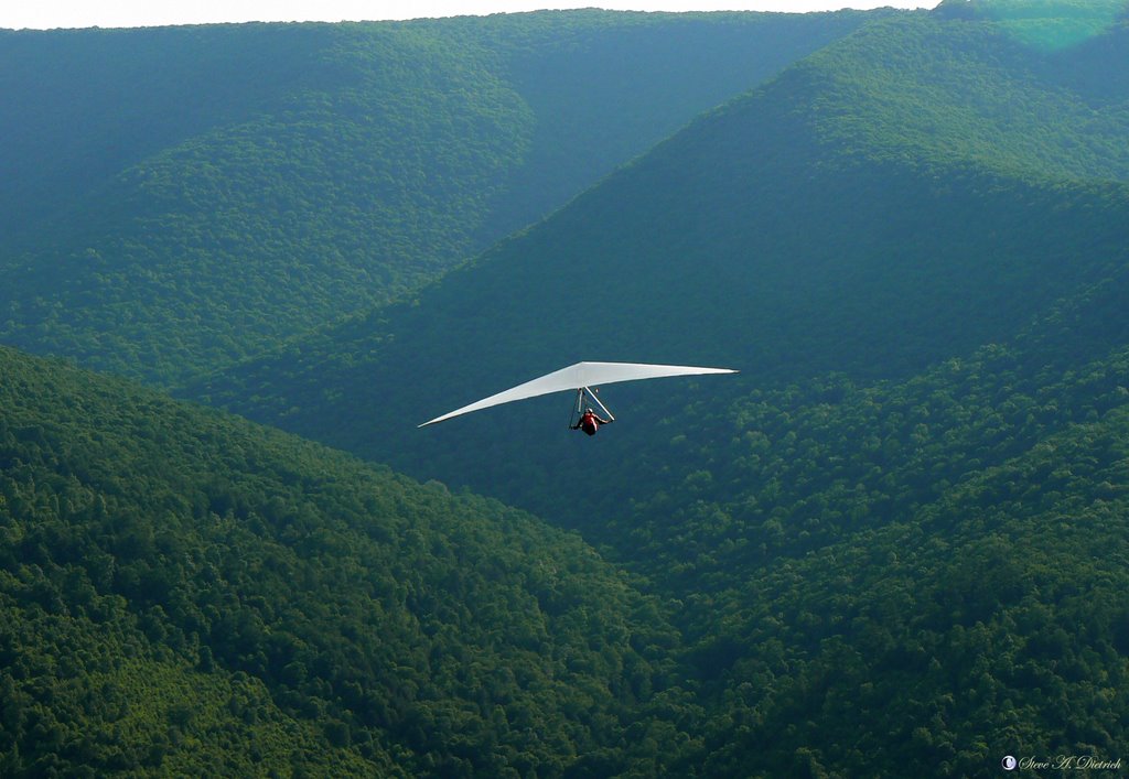 Hang Gliding by Steve Dietrich