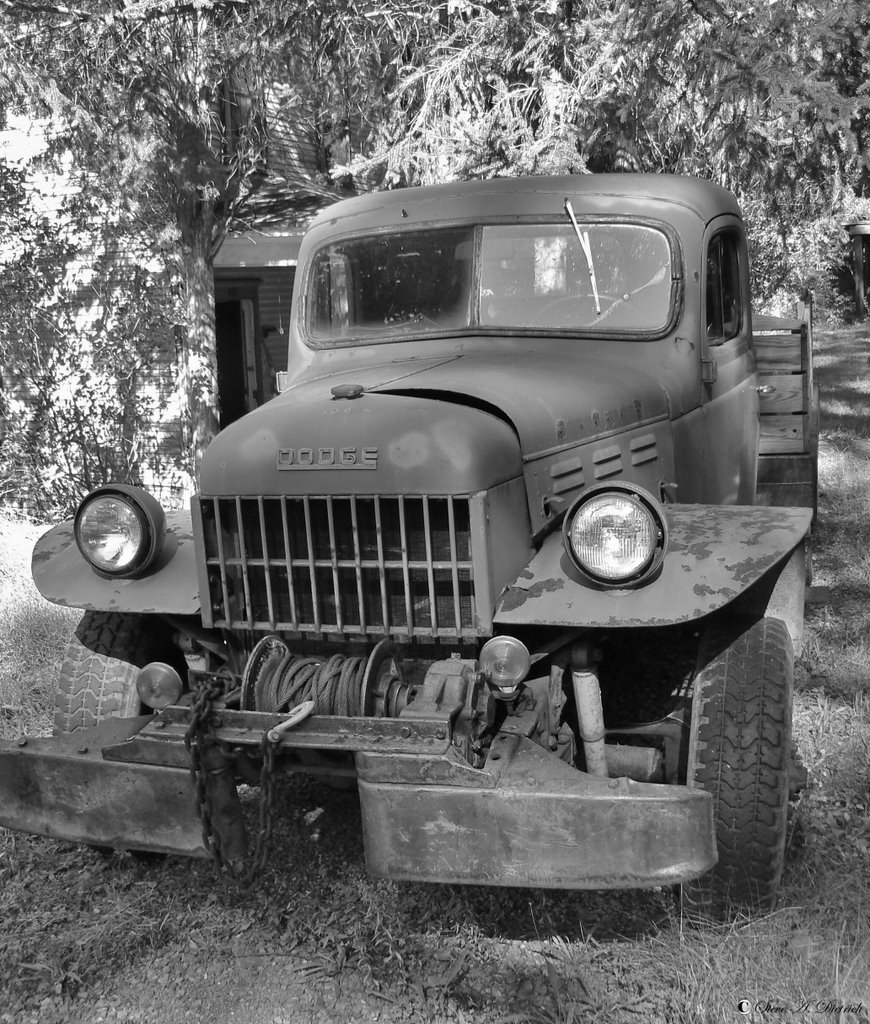 Dodge - Old Pickup Truck by Steve Dietrich