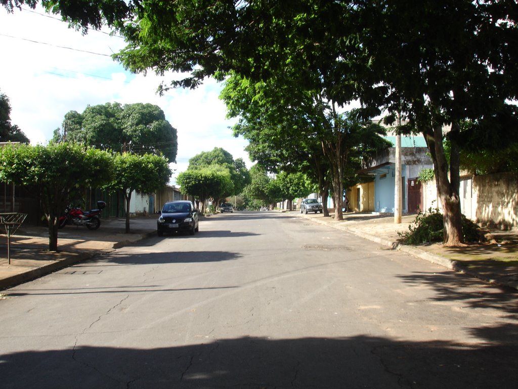 Goiânia - Rua Pedro Loduvick - Criméia Leste by Walter  Leite