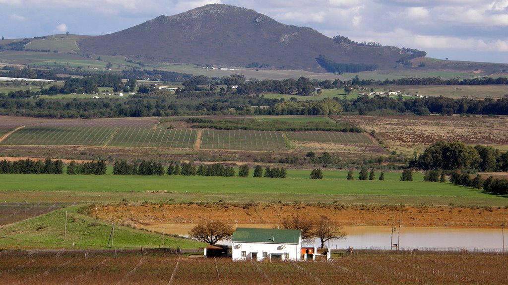 South Africa Stellenbosh Seidelberg Wine Estate by Christian31