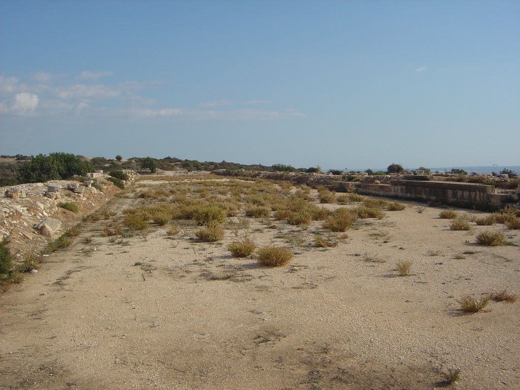 Ancient Curium Stadium. by Leslie Johnson