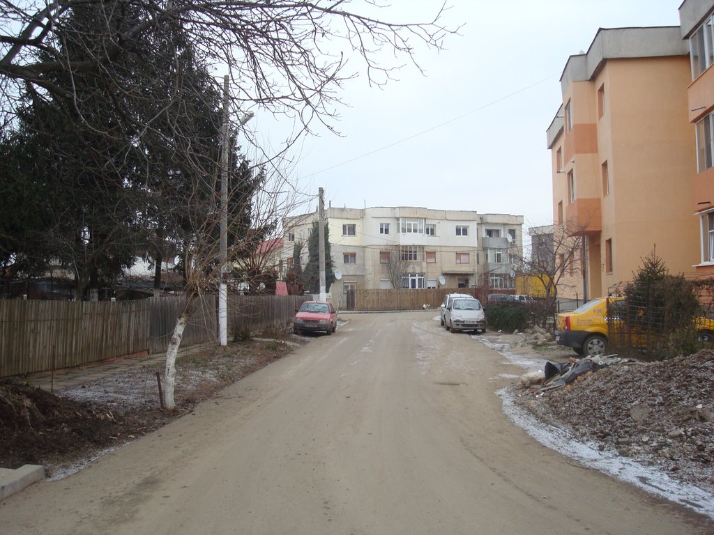 Popesti-Leordeni, Romania by Eugen Simion