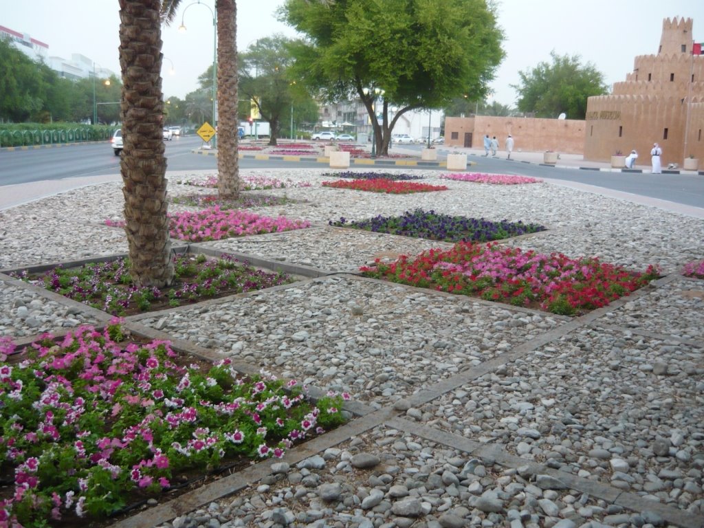 Flower-pebble beds by YamenG