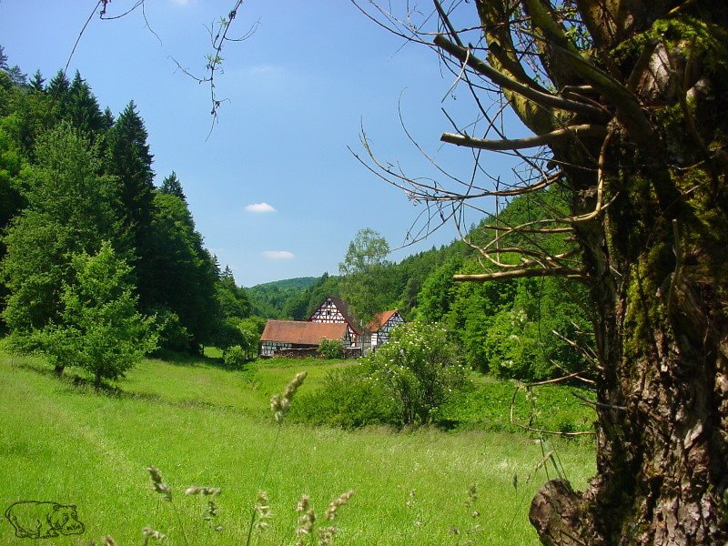 Schlöttermühle by Frank Zander