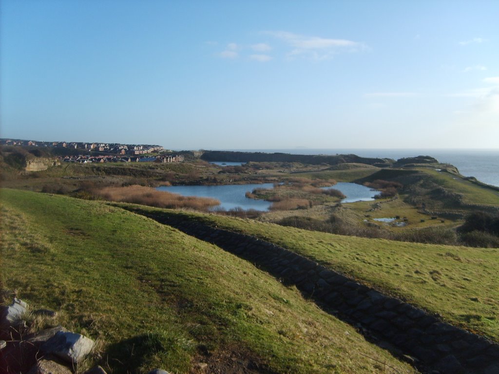 View of Rhoose Point, Dec 08 by sarahjwilson