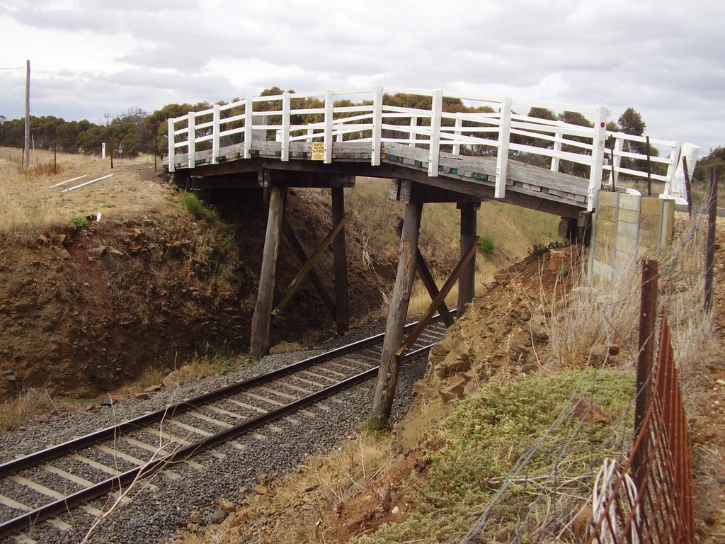 Spring Creek Rd Rail Bridge by Terry McGilvray