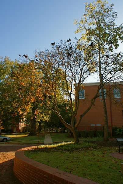 In front of caf by Melina Minaya