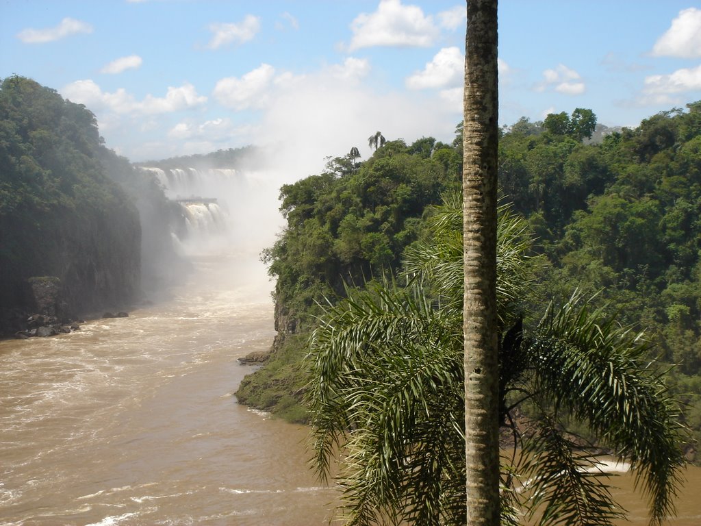 La gorge d' Iguazu au loin by Denis Bernier