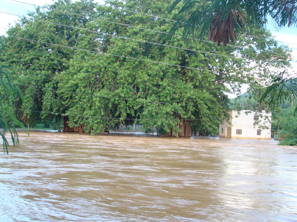 Ilha dos Araújos, Gov. Valadares - MG, Brazil by alex brando