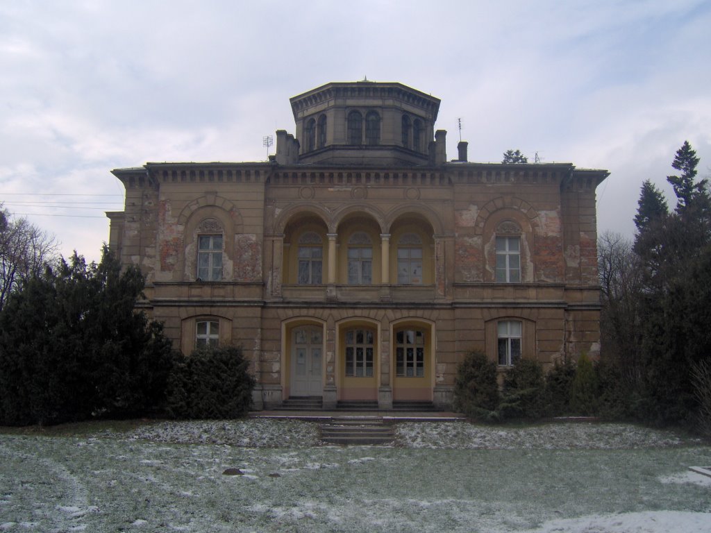 Neo-renesance palace in Klęka (east wall) by piotr tamowicz