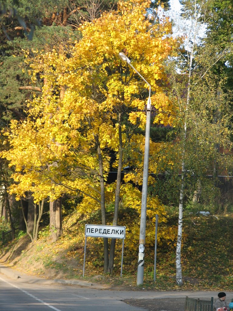 Peredelki, Moskovskaya oblast', Russia by aleksandrvyazmin