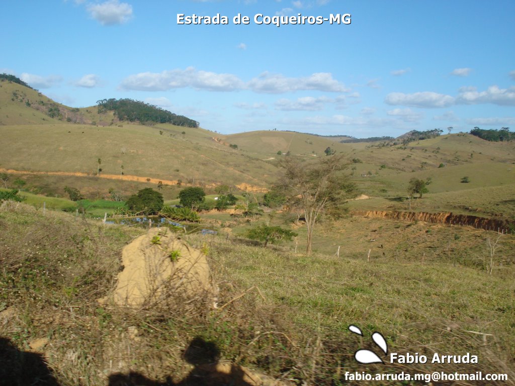 Estrada de Coqueiros by Fabio Arruda MG