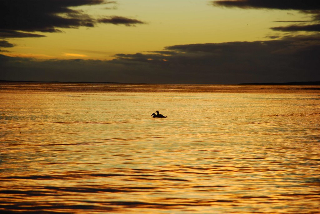 Atardecer en San Gregorio by Hector F. Garrido