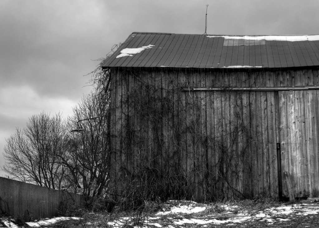 Brockton, ON N0G, Canada by D.R.Lamont