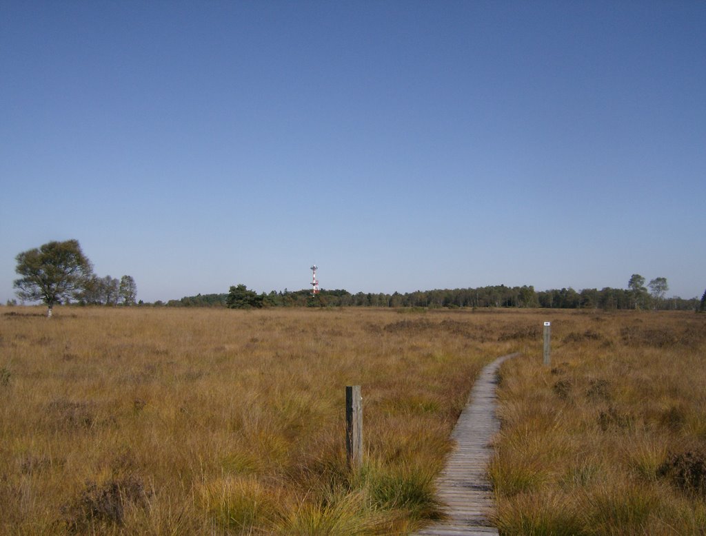 Fagne de Malchamps: caillebotis & tour radar by pingwi