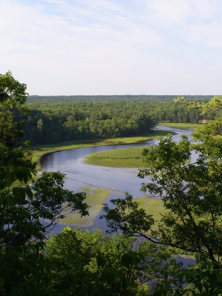 AuSable River Basin, Iargo Springs, Alcona, Michigan by Taylor Martinez