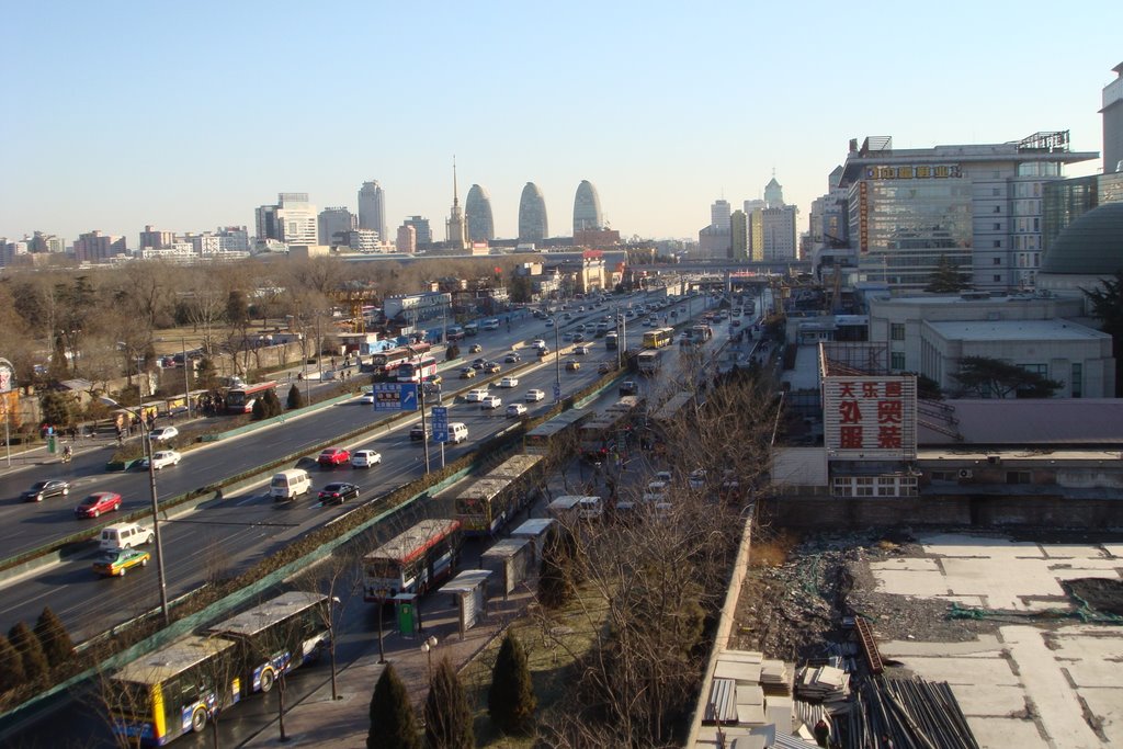 Traffic exchange center at Beijing Zoo by Dong-ivpp