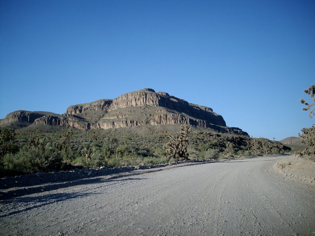 On the way to the Grand Canyon West, 2008 by DanyOnTheRoad