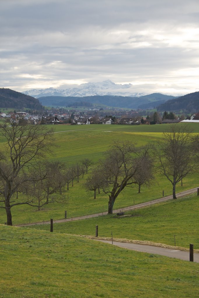 Blick zum Säntis by Thomas Oetjen