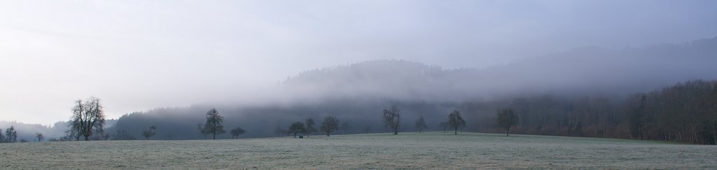 Wald bei Guntershausen, Aadorf by Thomas Oetjen