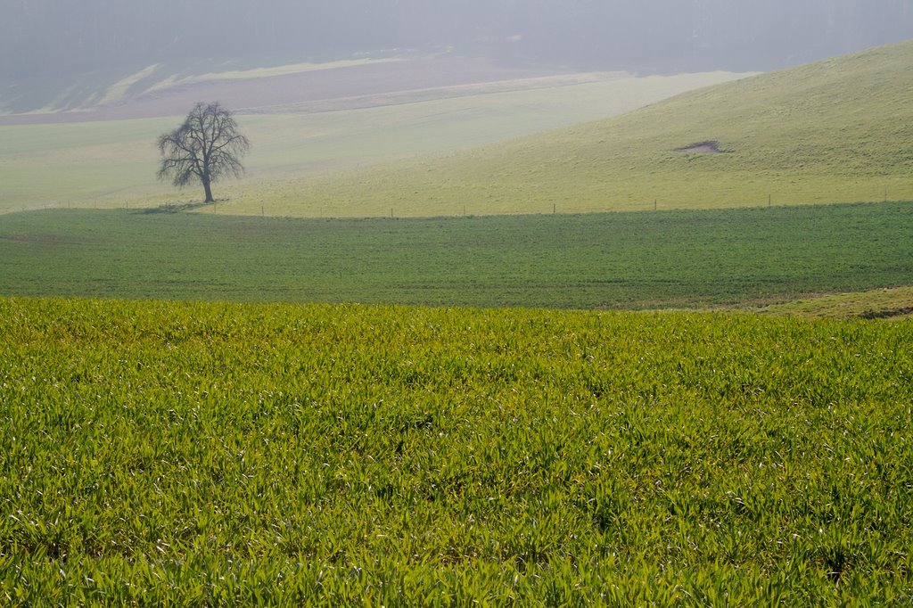 Landschaft oberhalb Aadorf by Thomas Oetjen