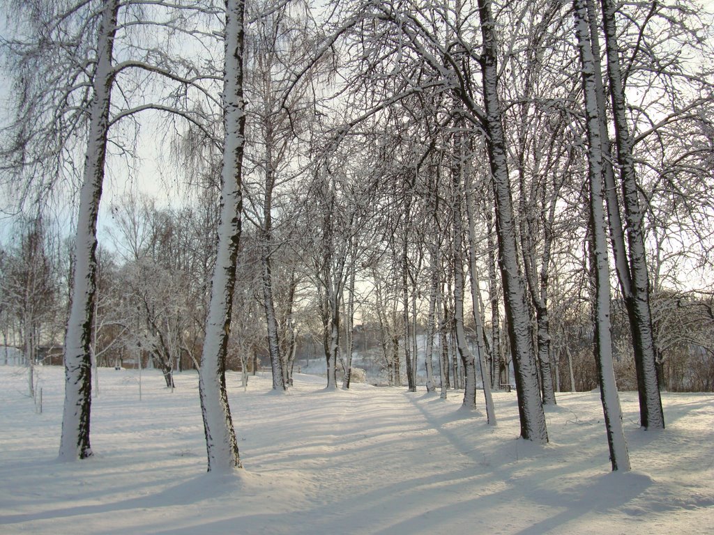 Bauskas pilskalns by Jānis Ernstsons