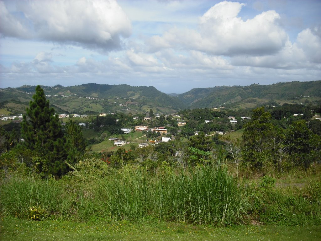 View Orocovis by baym2sons