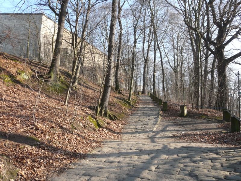 Königstein Festung, Fußweg by Walter Stuber