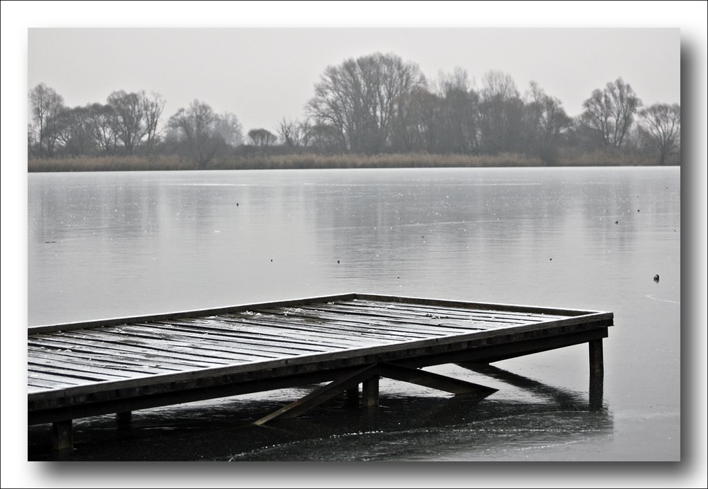 Winter on the lake by Simon Károly