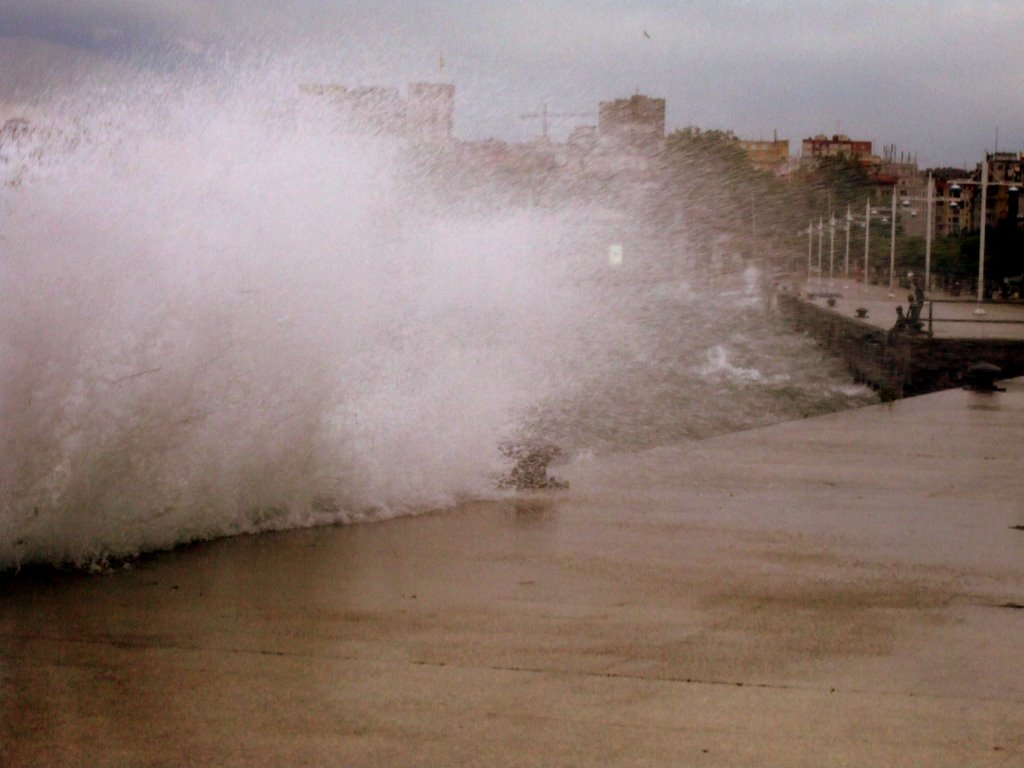 Paseo de Pereda, 36, 39004 Santander, Cantabria, Spain by Miguel Pidal