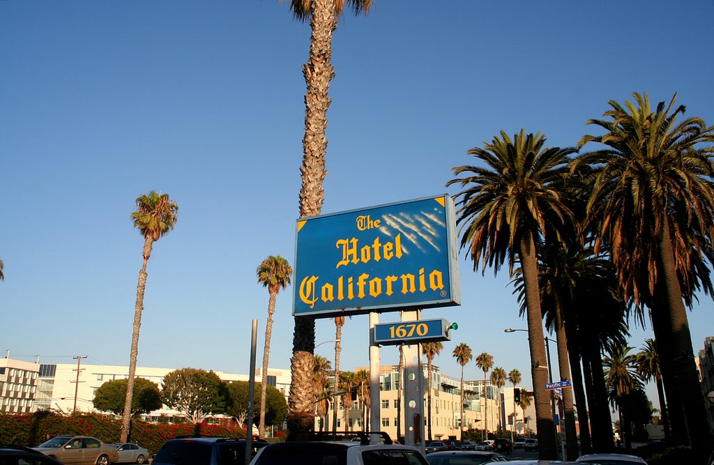 Los Angeles; Ocean Avenue by Phil Nieto