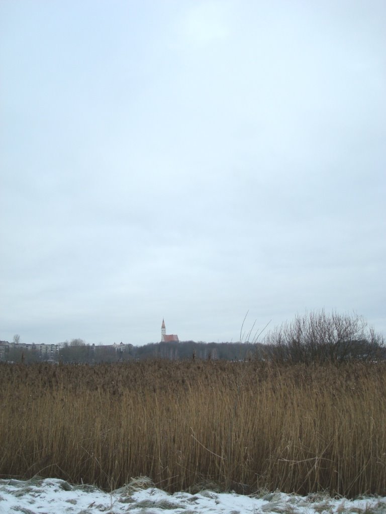 Frozen lake, reeds and cathedral on December 30, 2008 by Aurimas Nausėda