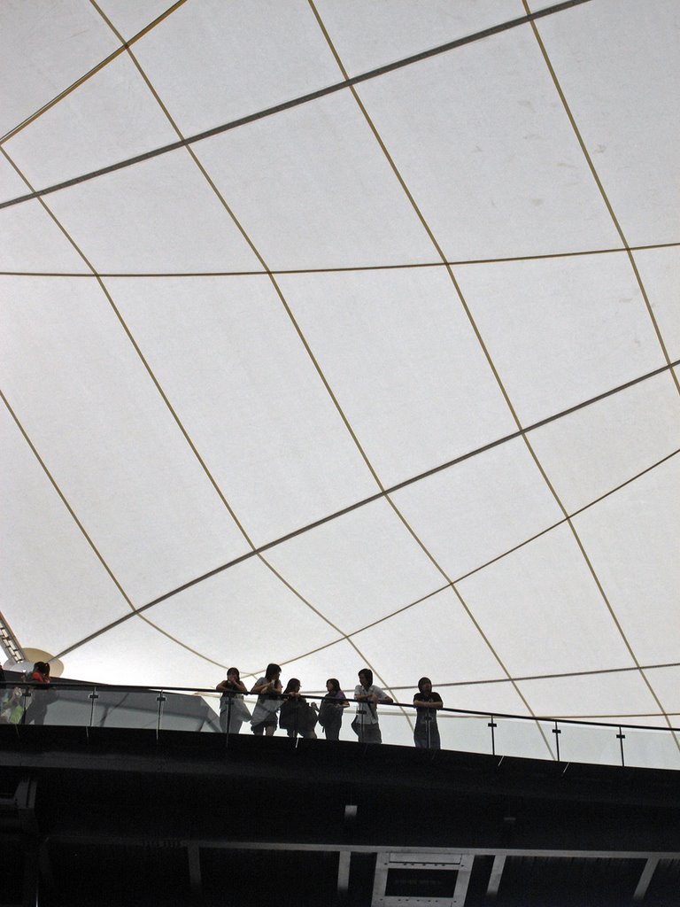 Lasalle College for the Arts - Roof by ...framed...