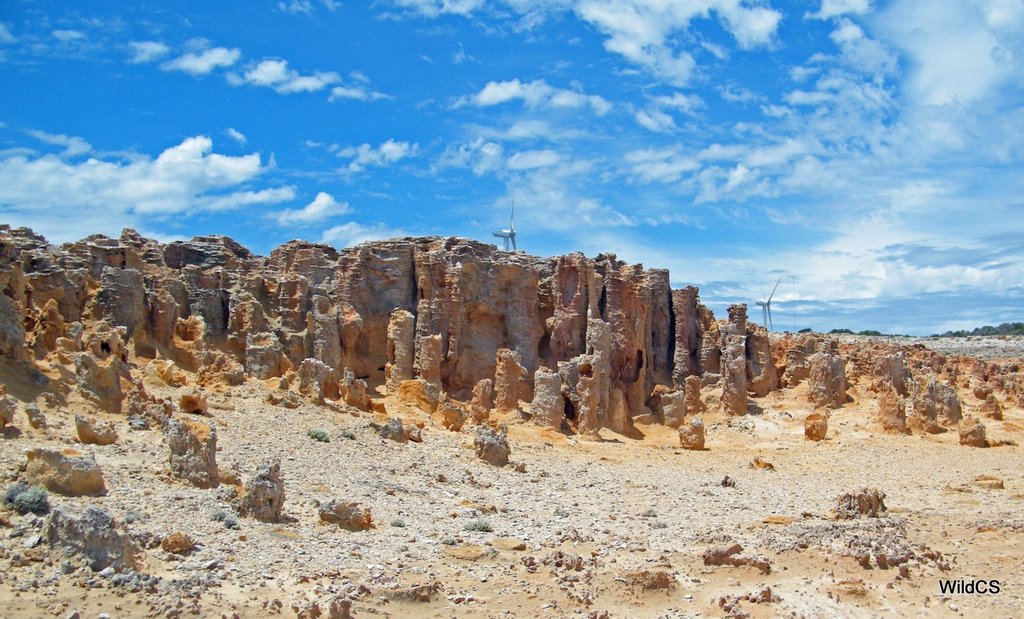 Petrified Forest at Cape Bridgewater, Victoria by WildCS