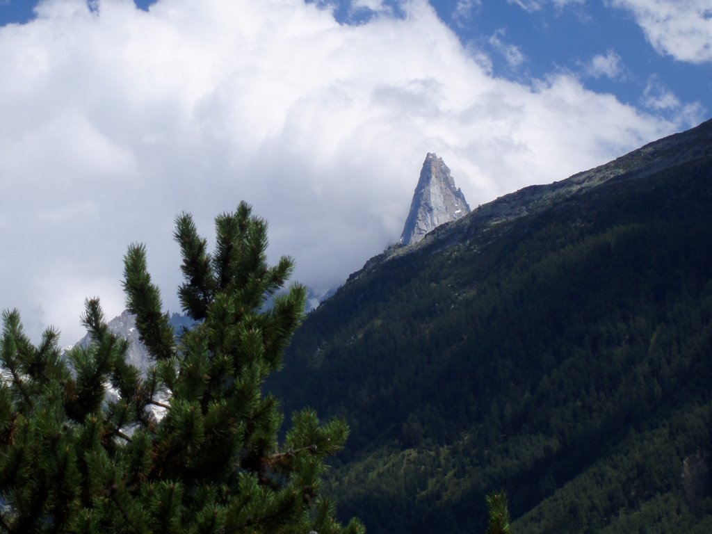 L'aiguille verte, chamonix aout 2007 by el luisico