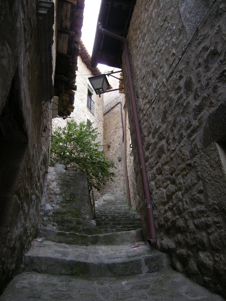 Aragón: Las Cinco Villas - Sos del Rey Católico by daniel despeyroux