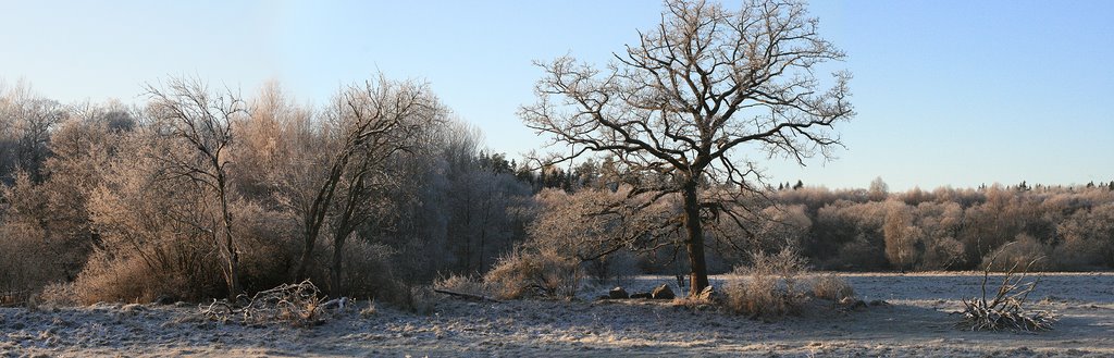 Vinter i skoken by Marjo-Riitta Oksanen