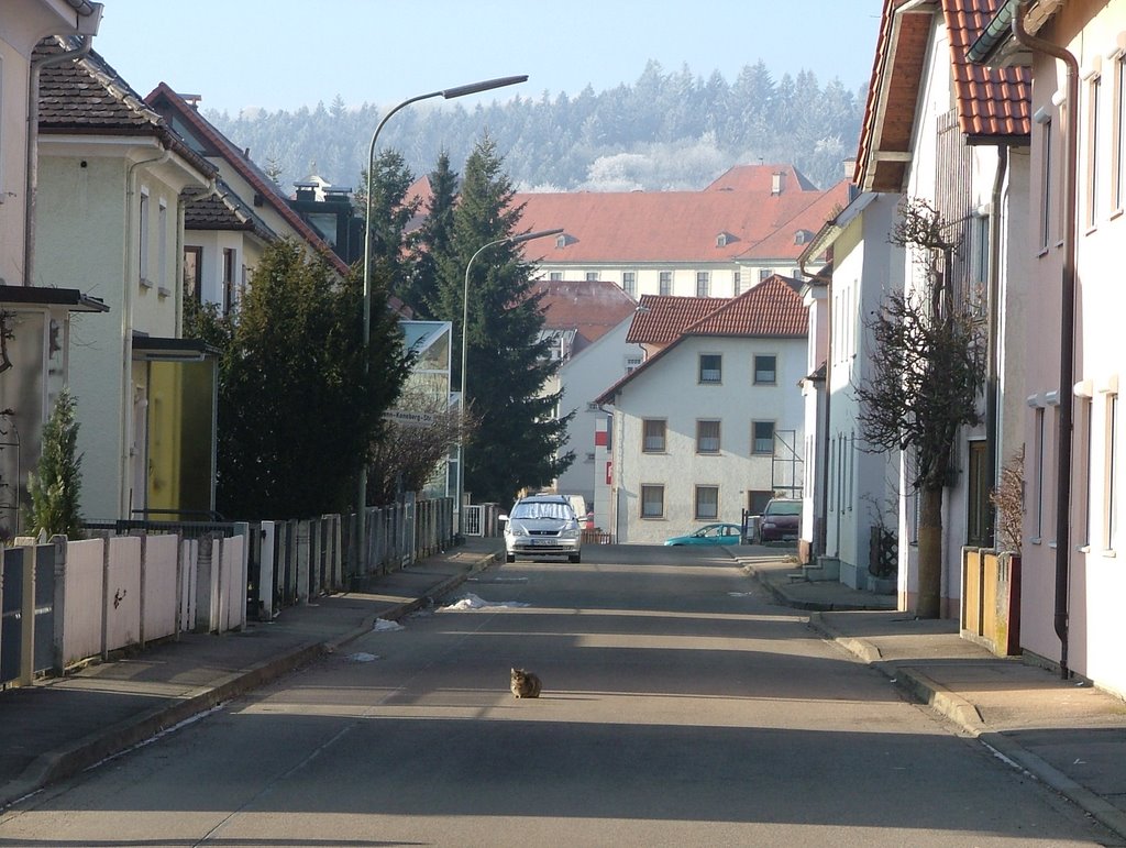 Hermann-Koneberg-Straße by Mayer Richard