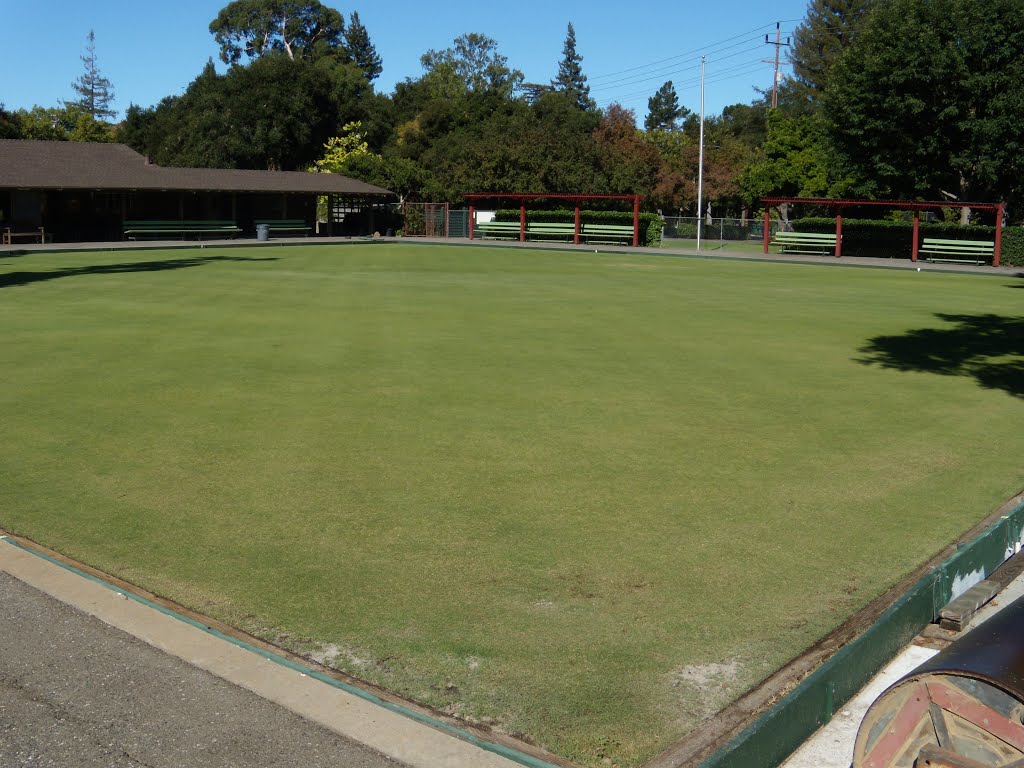 Palo Alto Lawn Bowl by christinestafford