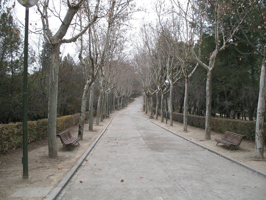 Paseo en Quinta de Los Molinos by Víctor Cespón