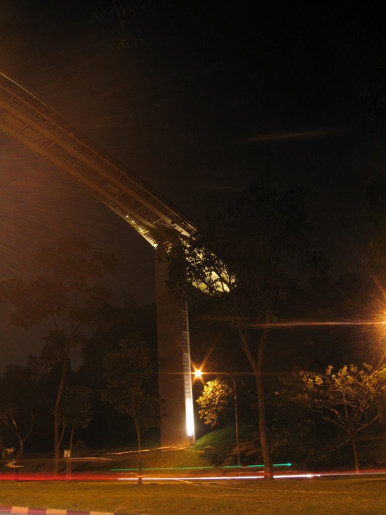 Henderson Waves bridge by xing369