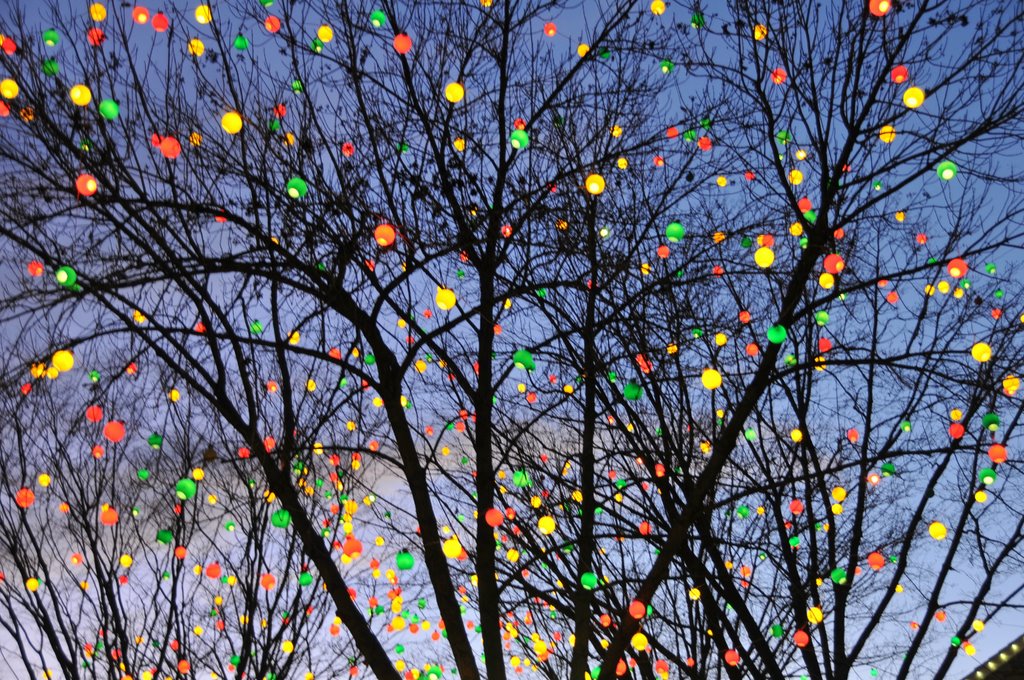 Christmas Lights at Hershey Park by Piaras de Cleir