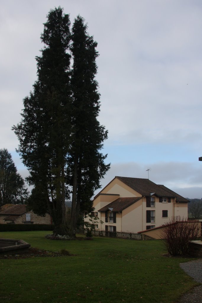 Saint-Jouvent : parc de la mairie by macrobert